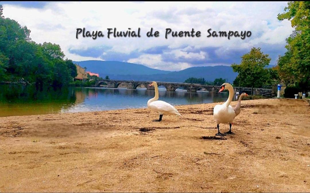 Hyp - Mar Y Descanso Sotomayor エクステリア 写真